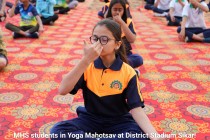 Yoga Mahotsav 2023 Pic 16