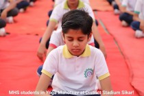 Yoga Mahotsav 2023 Pic 13