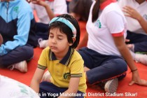 Yoga Mahotsav 2023 Pic 7
