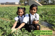 Organic Farm Visit! By Matrix High School Students of Pre-Primary Wing! 2023
