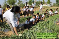 Organic Farm Visit! By Matrix High School Students of Pre-Primary Wing! 2023 Pic 14