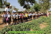 Organic Farm Visit! By Matrix High School Students of Pre-Primary Wing! 2023 Pic 15