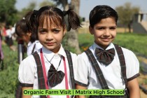 Organic Farm Visit! By Matrix High School Students of Pre-Primary Wing! 2023 Pic 8