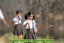 Organic Farm Visit! By Matrix High School Students of Pre-Primary Wing! 2023 Pic 7