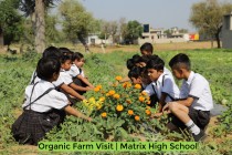 Organic Farm Visit! By Matrix High School Students of Pre-Primary Wing! 2023 Pic 6