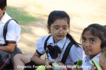 Organic Farm Visit! By Matrix High School Students of Pre-Primary Wing! 2023 Pic 4