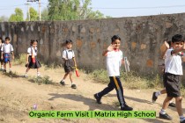 Organic Farm Visit! By Matrix High School Students of Pre-Primary Wing! 2023 Pic 5