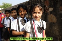 Organic Farm Visit! By Matrix High School Students of Pre-Primary Wing! 2023 Pic 3