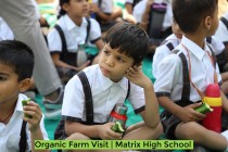 Organic Farm Visit! By Matrix High School Students of Pre-Primary Wing! 2023 Pic 1