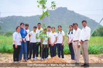 Tree Plantation 2023