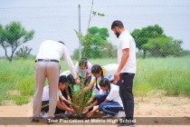 Tree Plantation 2023 Pic 7
