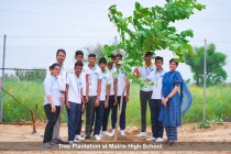 Tree Plantation 2023 Pic 3