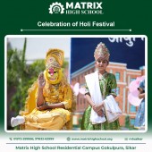 Celebration of Holi Festival - March 2024 Pic 3