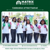 Celebration of Holi Festival - March 2024 Pic 2