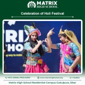 Celebration of Holi Festival - March 2024 Pic 4