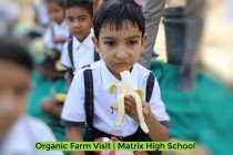 Organic Farm Visit! By Matrix High School Students of Pre-Primary Wing! 2023 Pic 2
