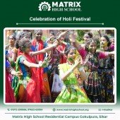Celebration of Holi Festival - March 2024 Pic 1