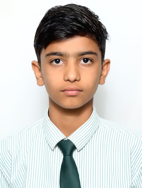 DHEERAJ KUMAR PAREEK